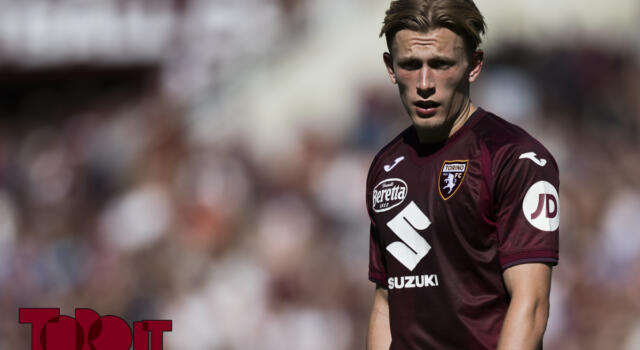 La probabile formazione del Torino: Pedersen torna dal 1&#8242;, chance per Gineitis